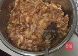 狮子头的做法图解3