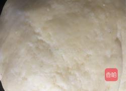 手工豆沙汤圆的做法图解7