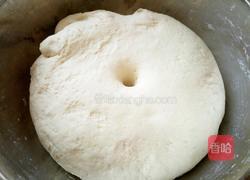 杏鲍菇酱葱花五香卷的做法图解5