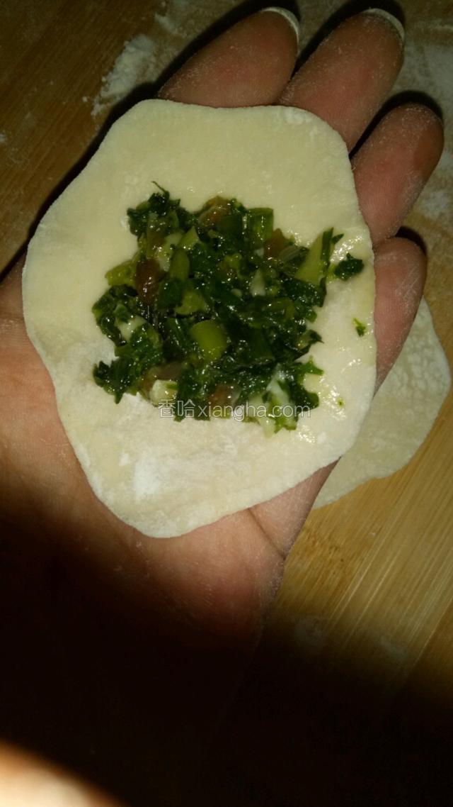 带饺子皮儿中间儿放是适量荠菜肉馅儿。