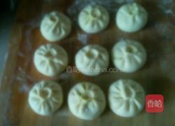 韭菜鸡蛋水煎包的做法图解10