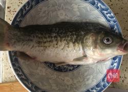 鲫鱼枸杞叶豆腐汤的做法图解1