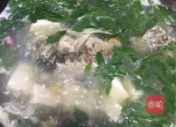 鲫鱼枸杞叶豆腐汤的做法图解5