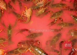 清蒸拼盘虾的做法图解1