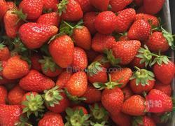 草莓酒的做法图解1