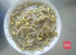 豆芽炒粉条的做法图解7