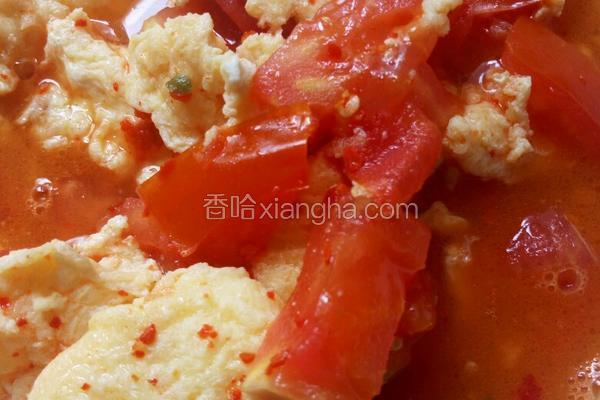 西红柿炒鸡蛋