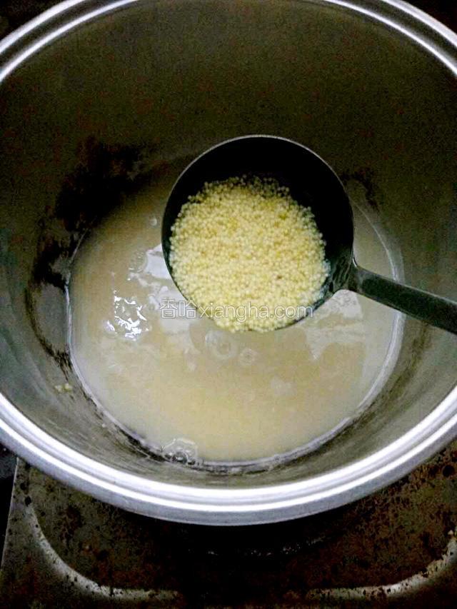 水开后倒入小米煮五分钟左右