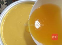 芒果慕斯蛋糕的做法图解20