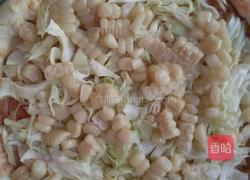 田园蔬菜披萨的做法图解5