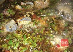 霍香鲫鱼的做法图解6