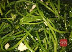 蒜炒红薯叶的做法图解4