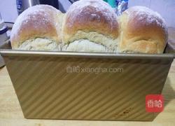 黑麦蜂蜜吐司的做法图解19