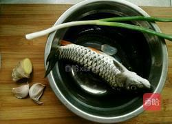 野生光鱼汤的做法图解1