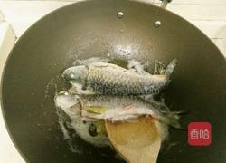 野生光鱼汤的做法图解5