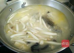 菌菇豆腐鲫鱼汤的做法图解8