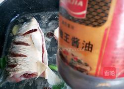 土豆炖鱼的做法图解7