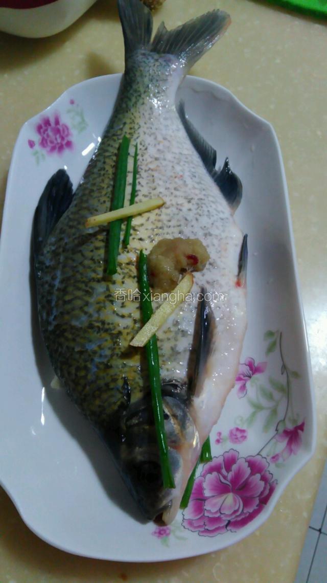 武昌鱼全身涂抹上盐料酒和色拉油。盘子底部垫上生姜丝和葱段将鱼放入。鱼肚子里面和鱼表面也放些生姜丝和葱段。锅里放水烧开将鱼放入蒸十分钟关火后燜五分钟。
