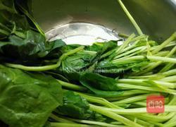 姜汁菠菜的做法图解1