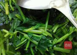 姜汁菠菜的做法图解5