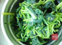 姜汁菠菜的做法图解8