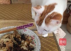 海棠家治愈打卤面的做法图解10