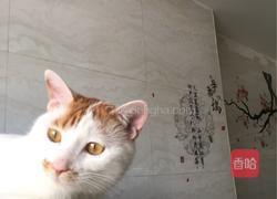 海棠家治愈打卤面的做法图解6