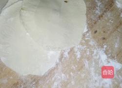 胡萝卜香菇娃娃菜猪肉馅水饺的做法图解10