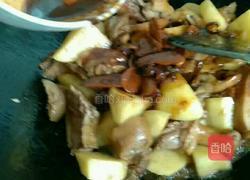 土豆焖鸭的做法图解5