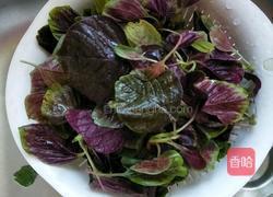 蒜香红苋菜的做法图解3