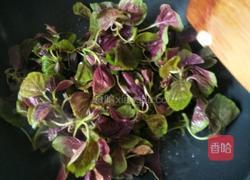 蒜香红苋菜的做法图解6