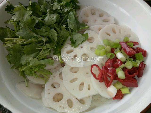 香菜切段和辣椒，葱放在·冰好的藕片上面。