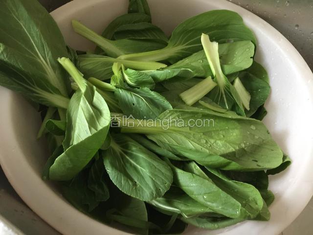 青菜清洗干净.浸泡10分钟沥水备用