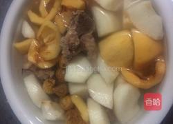 双果雪梨清肺汤的做法图解6