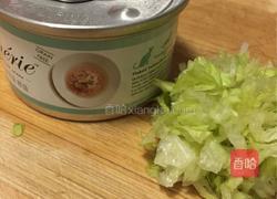 猫饭－盛夏沙拉（适用于猫咪）的做法图解1