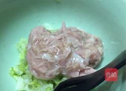 猫饭－盛夏沙拉（适用于猫咪）的做法图解2