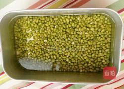 自发绿豆芽的做法图解1