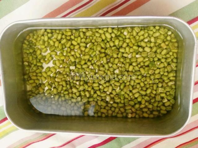 绿豆用清水 浸泡一晚上