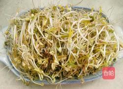 自发绿豆芽的做法图解6