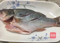 红烧鲈鱼的做法图解2