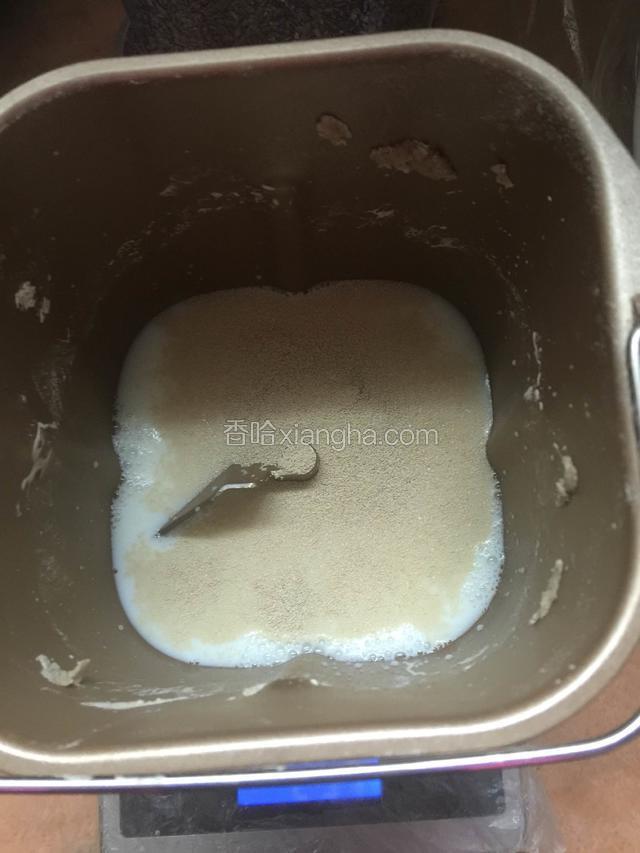 放入安琪酵母