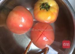 西红柿鸡蛋饺子的做法图解4