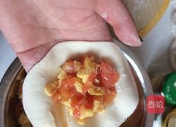 西红柿鸡蛋饺子的做法图解8