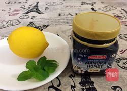 薄荷柠檬水的做法图解1