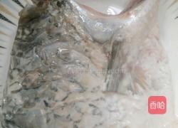 红烧鱼块的做法图解4