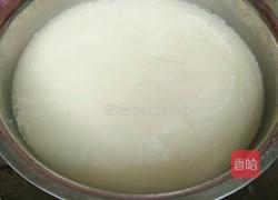 豇豆红枣粽子的做法图解2