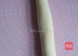 一次性发酵馒头的做法图解5