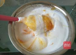 芒果冰淇淋的做法图解4