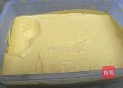 芒果冰淇淋的做法图解6