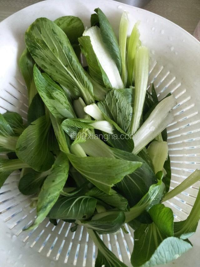 青菜洗净控水